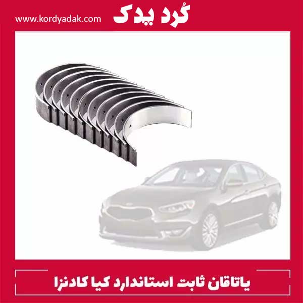 یاتاقان ثابت استاندارد کیا کادنزا